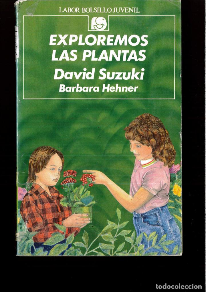 Libros: Exploremos Las Plantas - Barbara Hehner - Foto 1