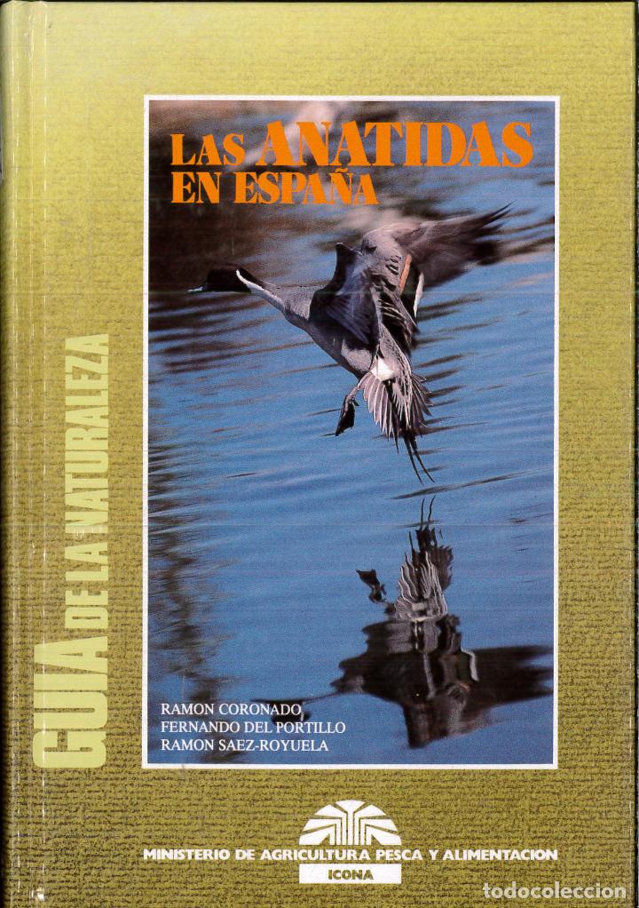 Libros: Guia de las anatidas en Espa&ntilde;a - Ramon ... [et al.] Coronado - Foto 1