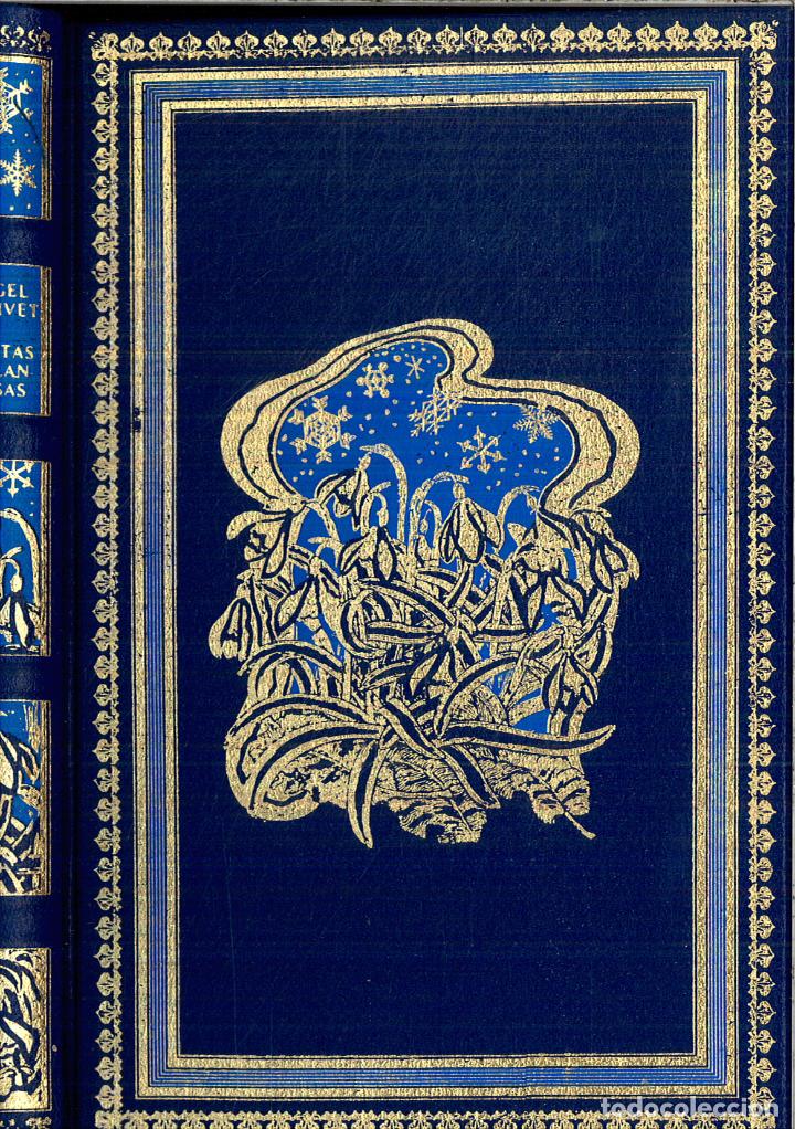 Libros: Cartas finlandesas - Ganivet, Angel - Foto 1