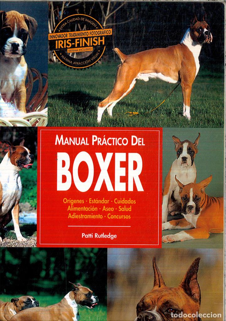 Libros: MANUAL PRACTICO DEL BOXER - PATTI RUTLEDGE - Foto 1
