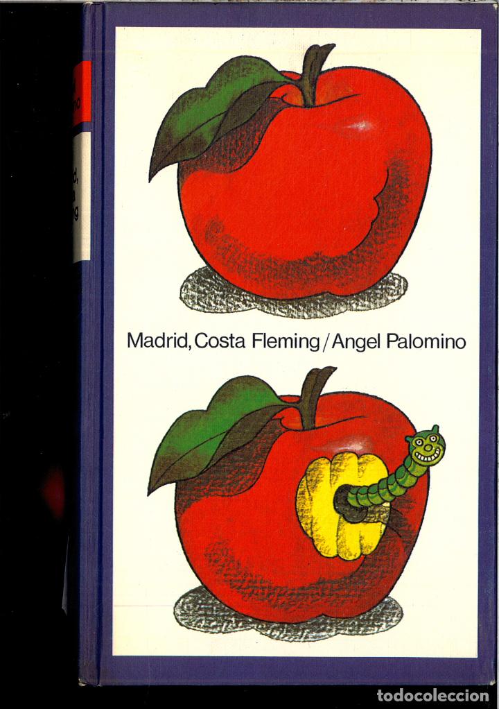 Libros: MADRID COSTA FLEMING - ANGEL PALOMINO - Foto 1