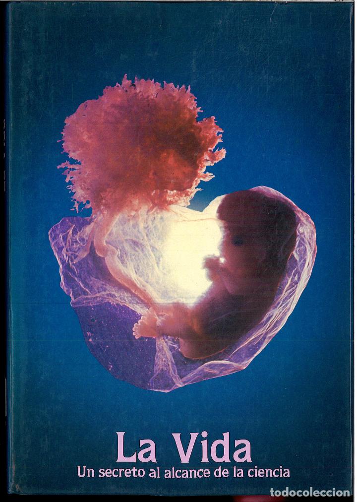 Libros: LA VIDA - JOICE POPE - Foto 1