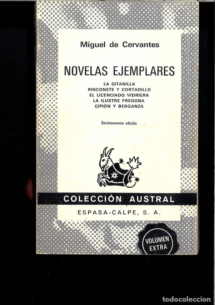Libros: NOVELAS EJEMPLARES - MIGUEL DE CERVANTES - Foto 1