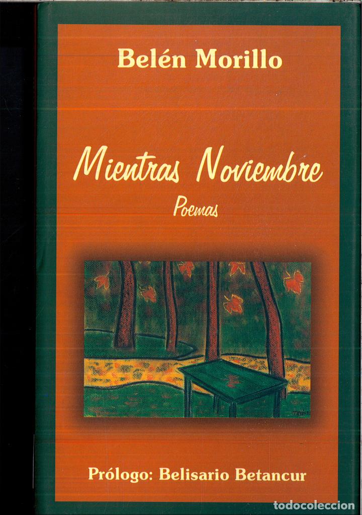 Libros: MIENTRAS NOVIEMBRE - BELEN MORILLO - Foto 1