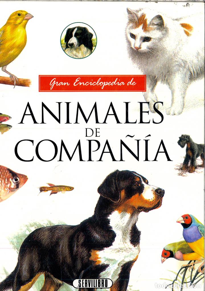 Libros: ANIMALES DE COMPA&Ntilde;IA - Varios - Foto 1