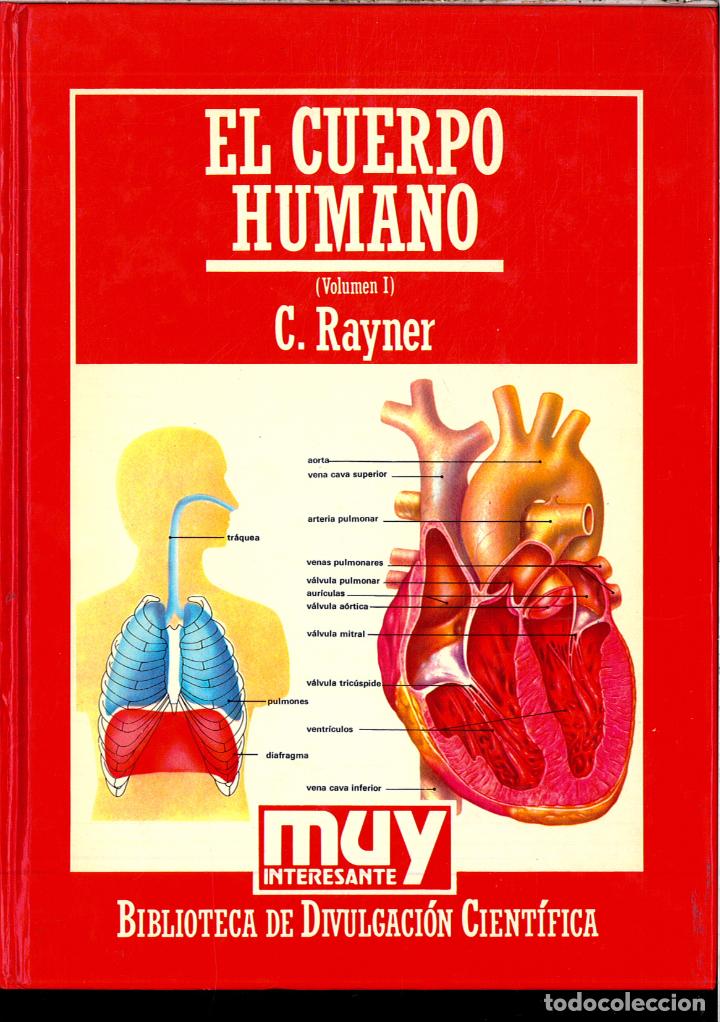 Libros: EL CERPO HUMANO (VOLUMEN I) - C. RAYNER - Foto 1