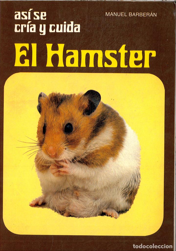 Libros: ASI SE CRIA Y CUIDA UN HAMSTER - MANUEL BARBERAN - Foto 1