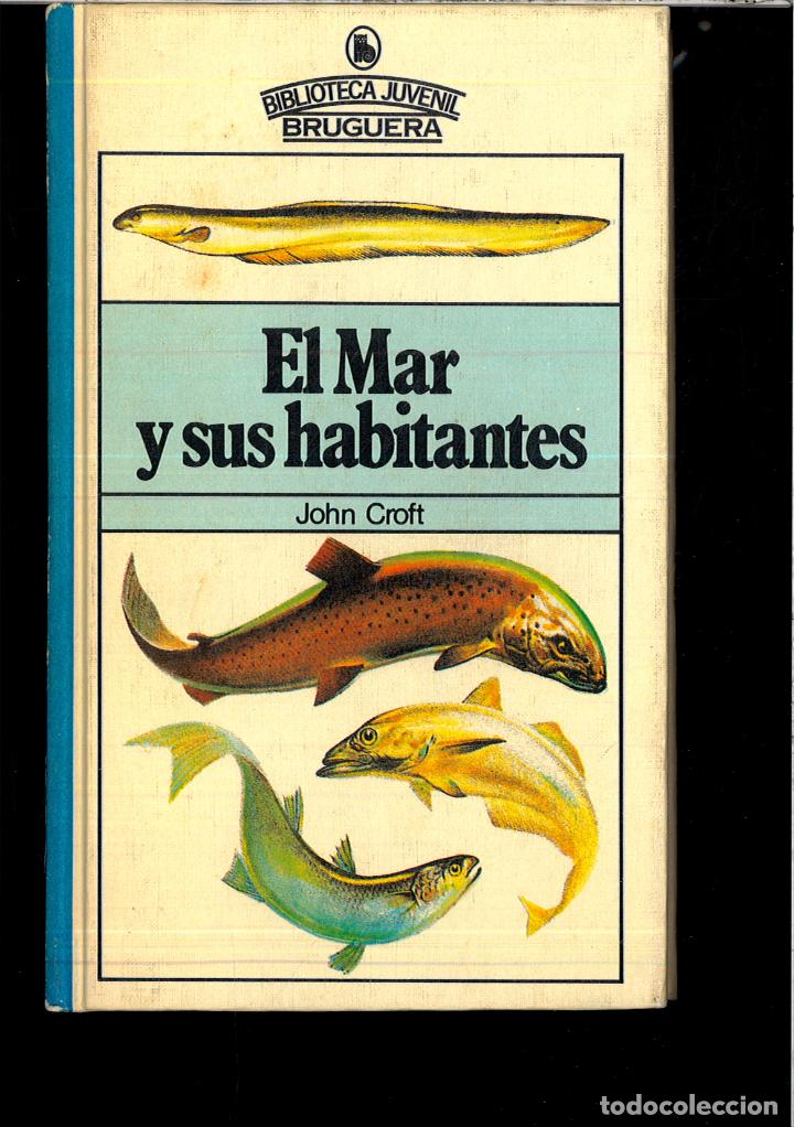 Libros: EL MAR Y SUS HABITANTES - JOHN CROFT - Foto 1