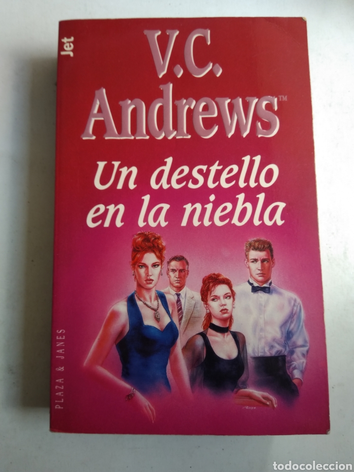 Libros: UN DESTELLO EN LA NIEBLA/V.C.ANDREWS - Foto 1
