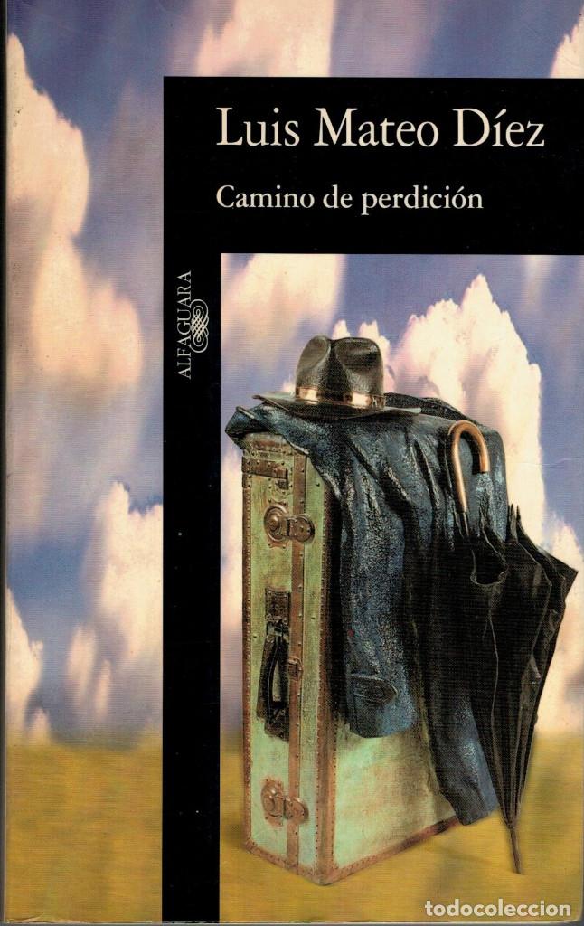 Libros: Luis Mateo D&iacute;ez, Camino de perdici&oacute;n - Foto 1