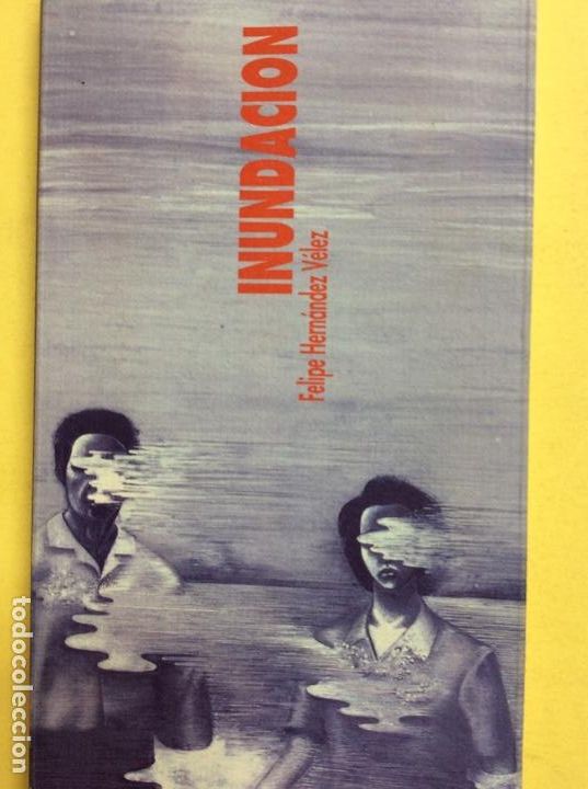 Libros: Inundacion Felipe Hern&aacute;ndez V&eacute;lez - Foto 1