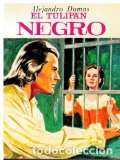 Libros: EL TULIP&Aacute;N NEGRO. - Foto 1