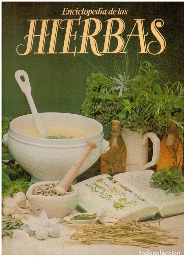 Libros: ENCICLOPEDIA DE LAS HIERBAS. Ligeramente mareado. - Foto 1