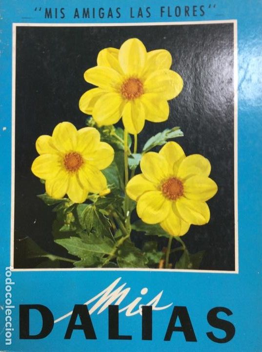 Libros: Mis Dalias - Foto 1