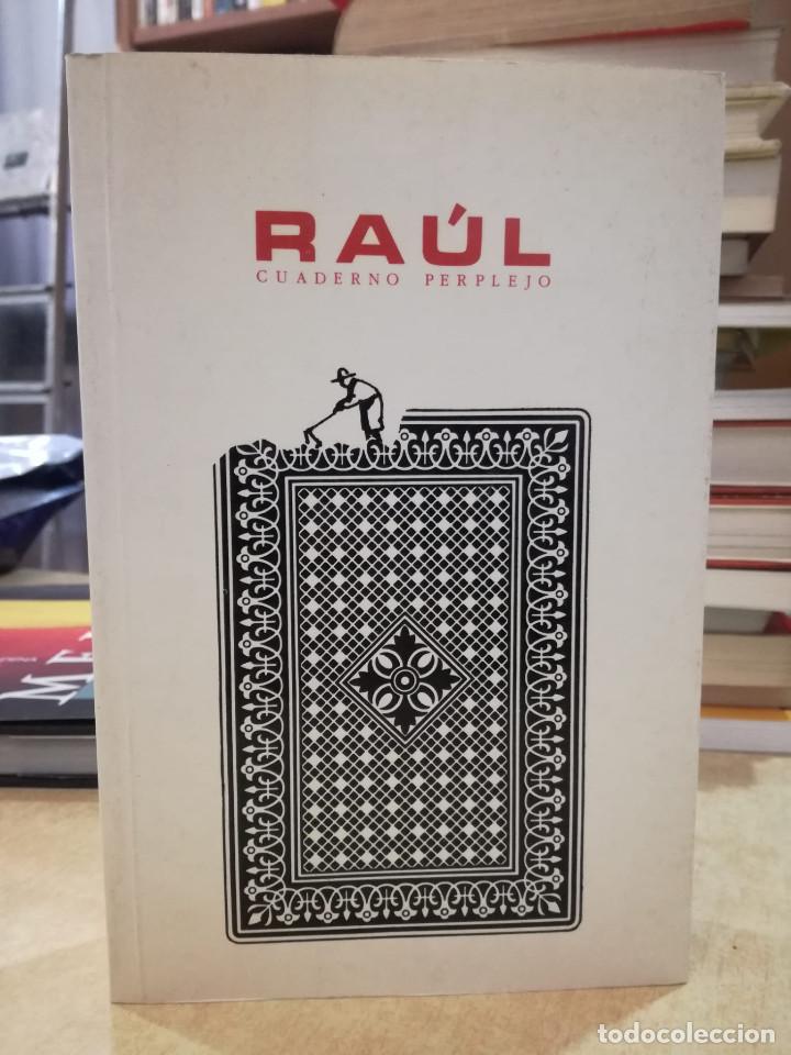 Libros: RA&Uacute;L CUADERNO PERPLEJO - Foto 1