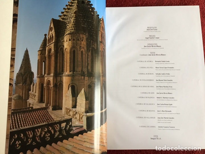 Libros: Las Catedrales de Castilla y Le&oacute;n. Edilesa 1994. ASM - Foto 2