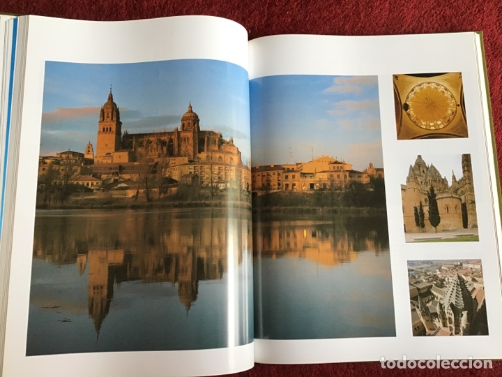 Libros: Las Catedrales de Castilla y Le&oacute;n. Edilesa 1994. ASM - Foto 7