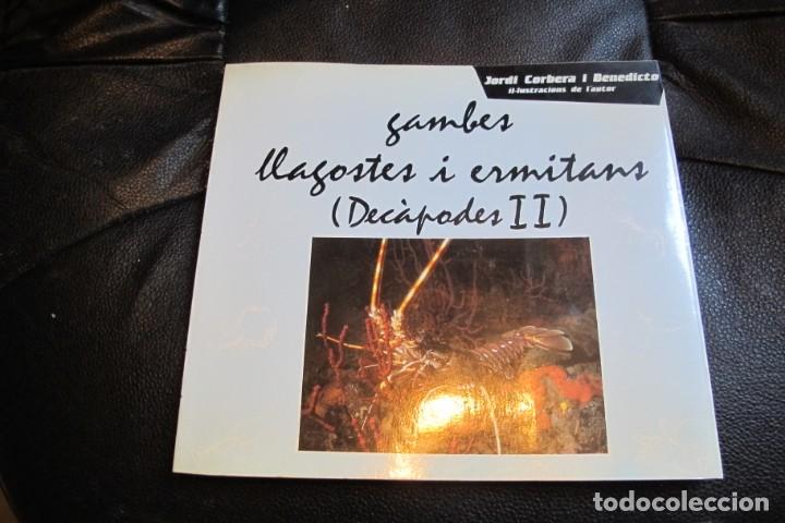 Livres: GAMBES LLAGOSTES I ERMITANS. (DECAPODES II) JORDI CORBERA I BENEDICTO