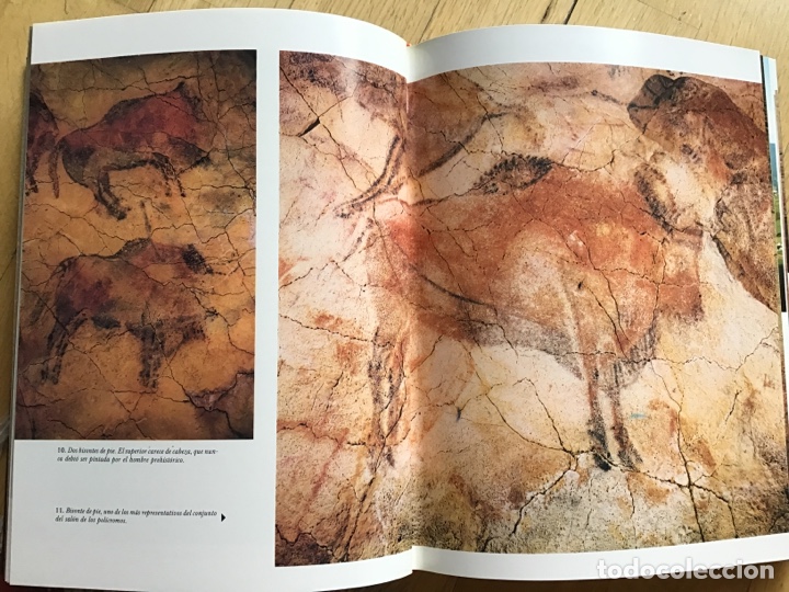 Libros: Cuevas de Espa&ntilde;a. Everest 1985. ASM - Foto 7