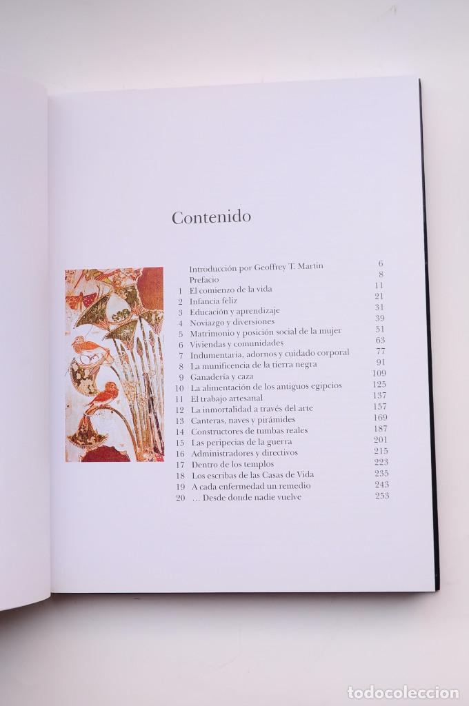 Libros: La vida en el Antiguo Egipto - STROUHAL, Eugen - Foto 3