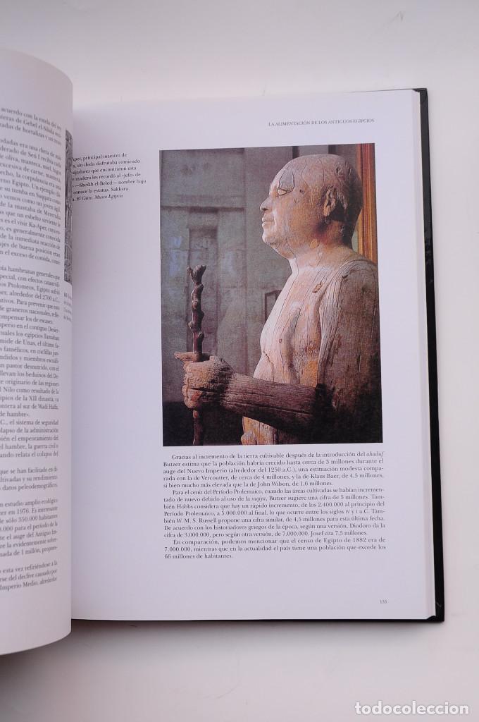 Libros: La vida en el Antiguo Egipto - STROUHAL, Eugen - Foto 4
