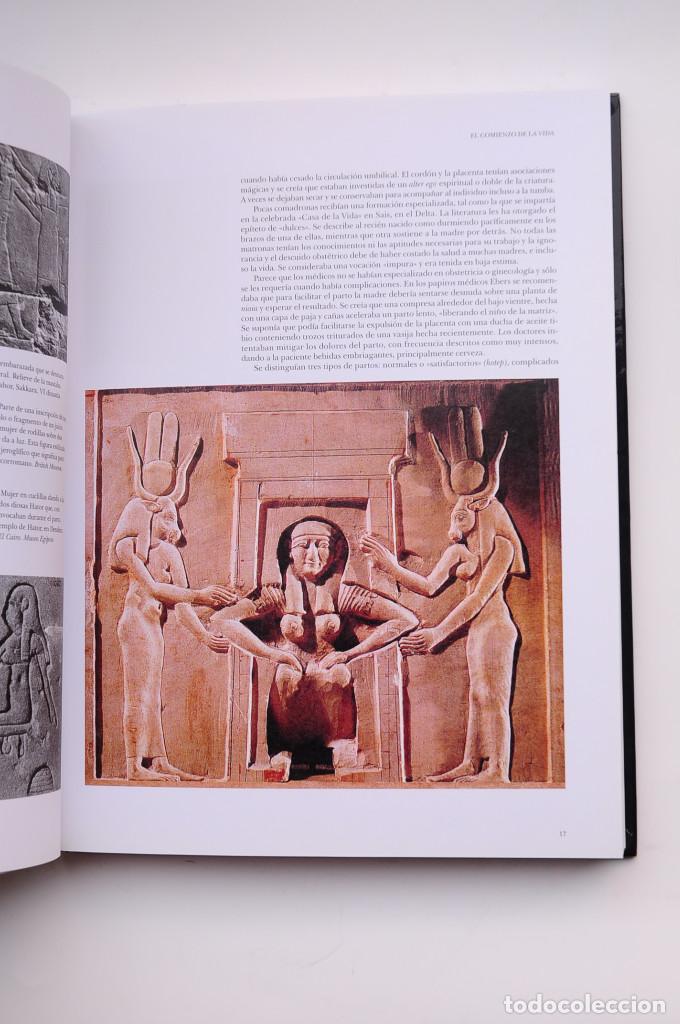 Libros: La vida en el Antiguo Egipto - STROUHAL, Eugen - Foto 7