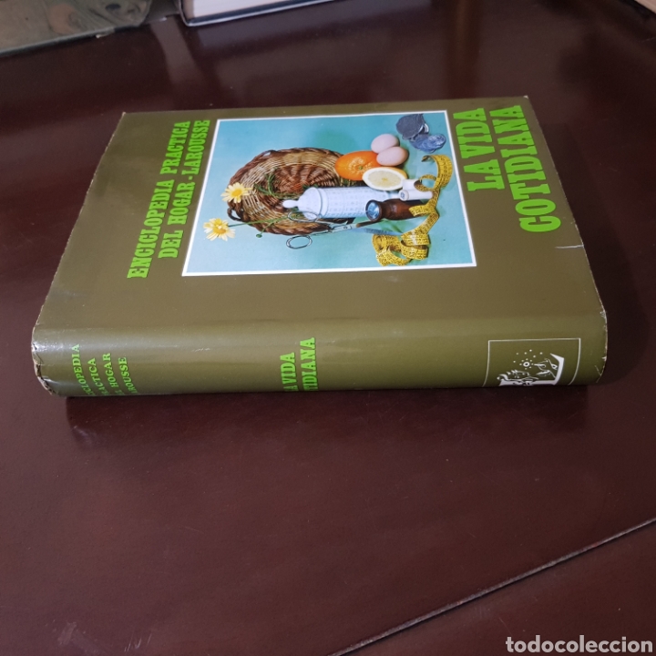 Libros: ENCICLOPEDIA PRACTICA DEL HOGAR LAROUSSE 1968 LA VIDA COTIDIANA - Foto 13
