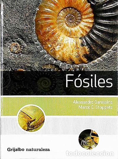 Libros: F&oacute;siles - Alessandro Garassino - Marco C. Stoppato - Foto 1