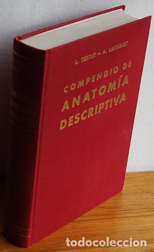 Libros: COMPENDIO DE ANATOM&Iacute;A DESCRIPTIVA - L. TESTUT - Foto 1