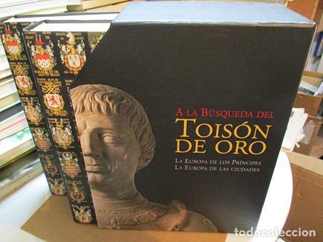 Libros: MIRA, Eduard/ DELVA, An (Eds.) - A LA B&Uacute;SQUEDA DEL TOIS&Oacute;N DE ORO. La Europa de los pr&iacute;ncipes. La Eur