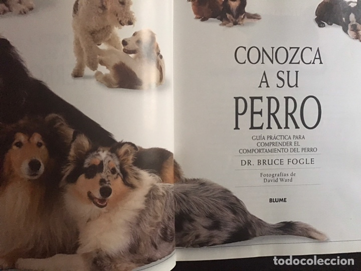 Libros: Conozca su perro. Bruce Fogle. Blume - Foto 4