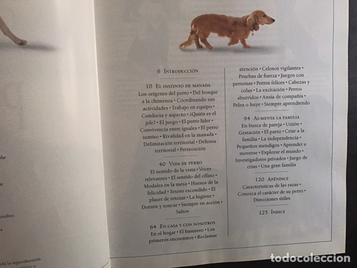 Libros: Conozca su perro. Bruce Fogle. Blume - Foto 5