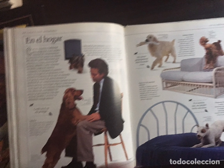 Libros: Conozca su perro. Bruce Fogle. Blume - Foto 8
