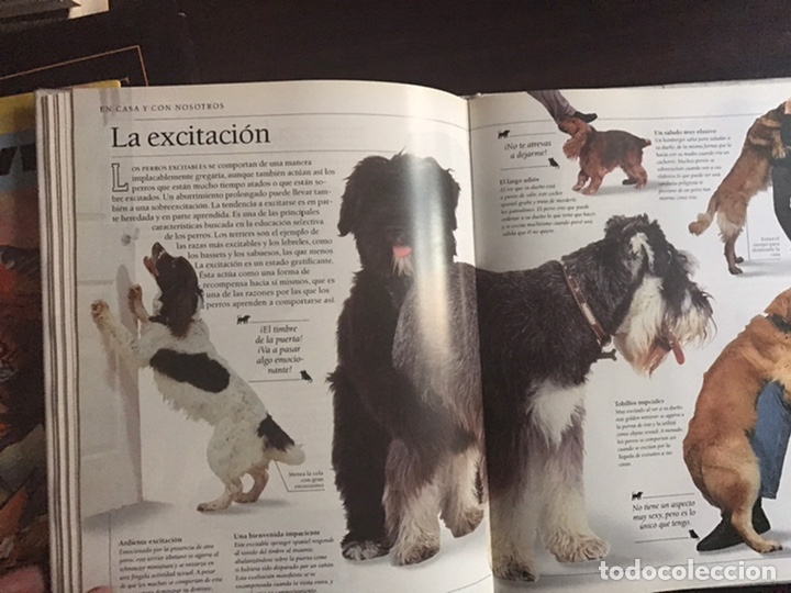 Libros: Conozca su perro. Bruce Fogle. Blume - Foto 9