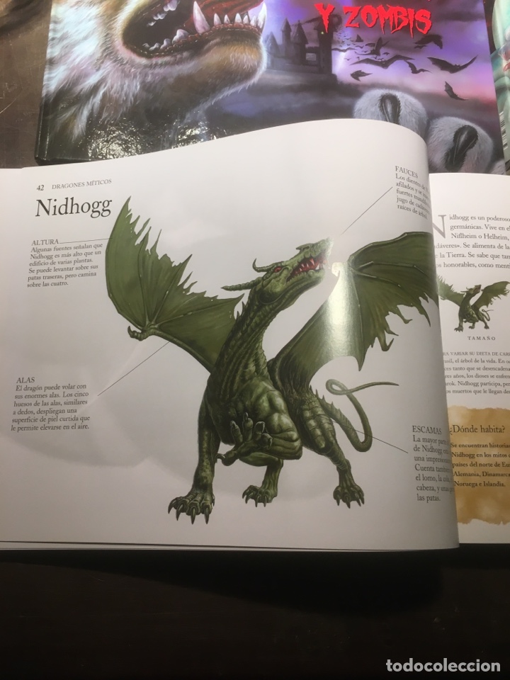 Libros: Lote de 4 libros ilustrados Susaeta - Foto 3