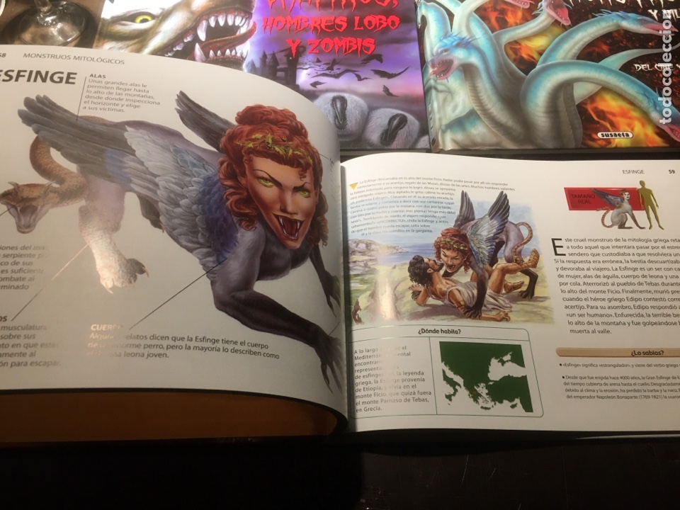 Libros: Lote de 4 libros ilustrados Susaeta - Foto 4