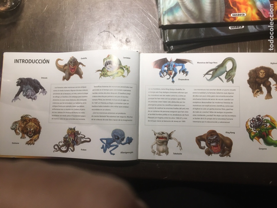 Libros: Lote de 4 libros ilustrados Susaeta - Foto 7