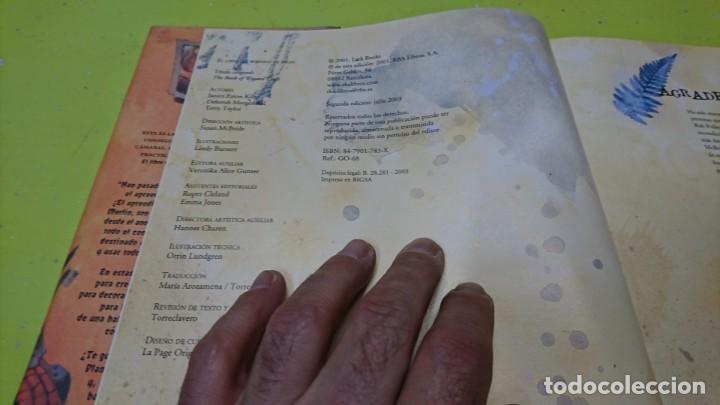 Libros: EL LIBRO DEL APRENDIZ DE BRUJO, RBA, LINDY BURNETT - Foto 2
