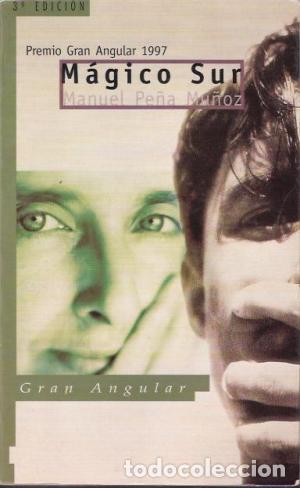Libros: M&Aacute;GICO SUR - MANUEL PE&Ntilde;A MU&Ntilde;OZ - Foto 1