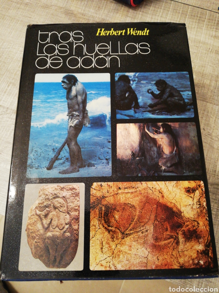 Libros: Tras las huellas de ad&aacute;n, Herbert Wendt, editorial noguer - Foto 1