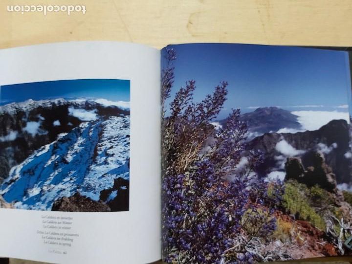 Libros: La Palma - Jos&eacute; Manuel Moreno - Foto 8