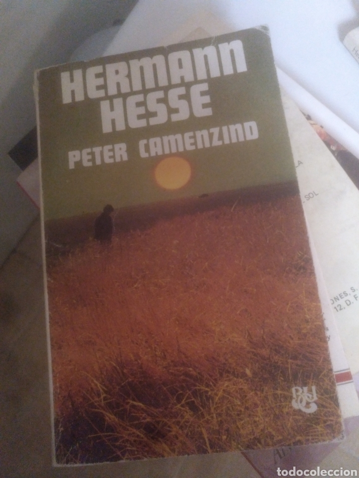 Libros: Peter camenzino hermann hesse - Foto 1