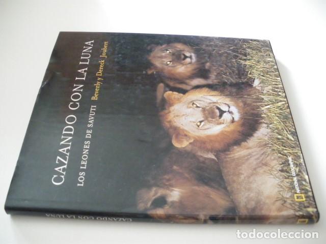 Libros: CAZANDO CON LA LUNA. LOS LEONES DE SAVUTI - BEVERLY JOUBERT - DERECK JOUBERT - Foto 1