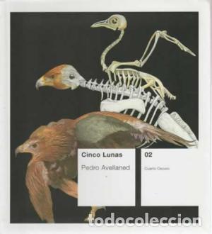 Libros: CINCO LUNAS - Avellaned,Pedro - Foto 1