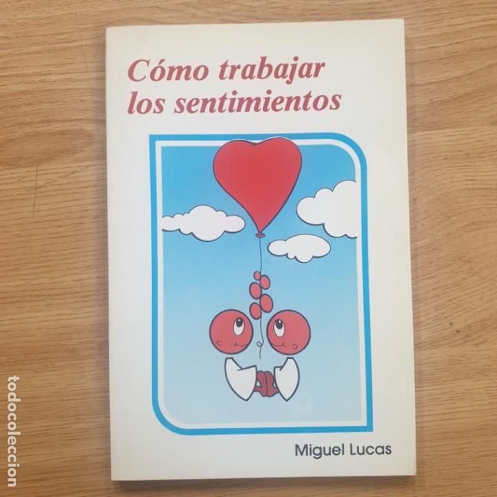 Libros: como trabajar los sentimientos miguel lucas - Foto 1