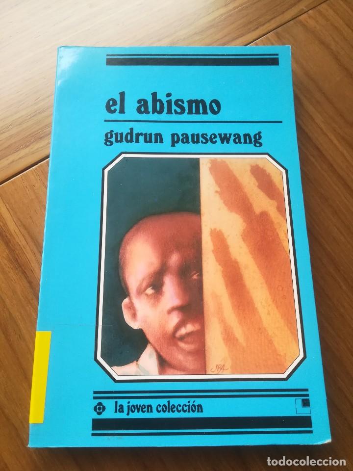 Libros: EL ABISMO GUDRUN PAUSEWANG 1996 LOGUEZ EDICIONES - Foto 1