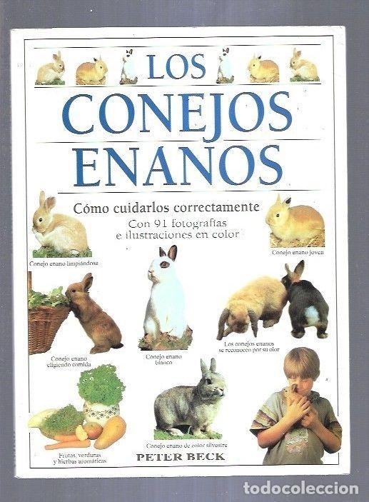 Libros: CONEJOS ENANOS - LOS. COMO CUIDARLOS CORRECTAMENTE - BECK, PETER - Foto 7
