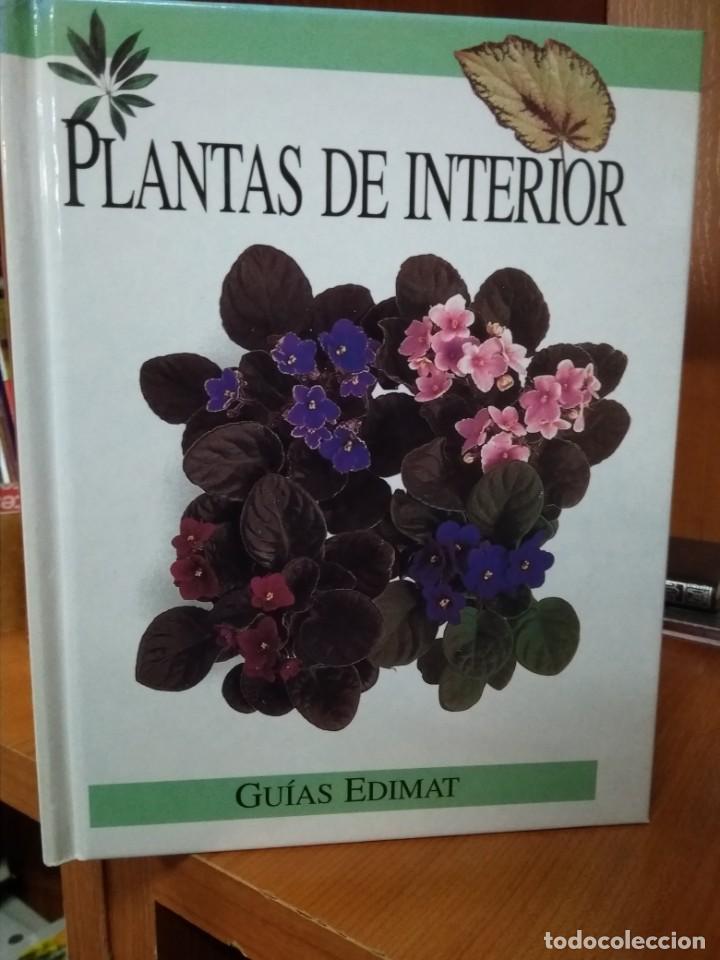 Libros: Plantas de interior, gu&iacute;as Edimat - Foto 1