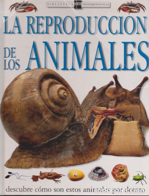 Libros: LA REPRODUCCION DE LOS ANIMALES - DAVID BURNIE - Foto 1