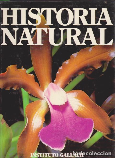 Libros: HISTORIA NATURAL. TOMO 7. BOTANICA I - VV.AA. - Foto 1